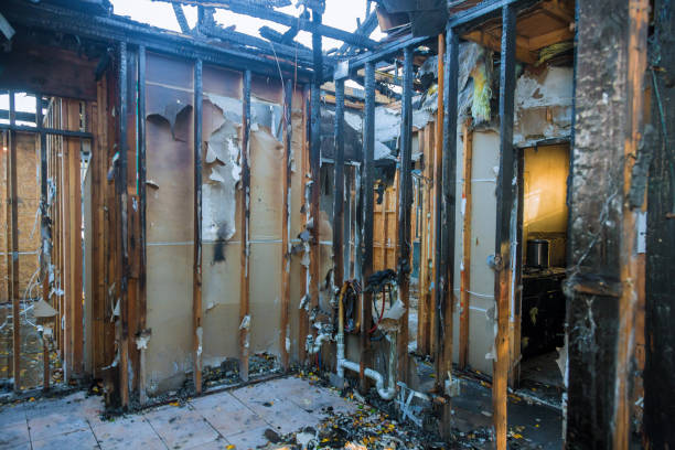 Professional Fire Damage Removal technician working in Angola on the Lake, NY